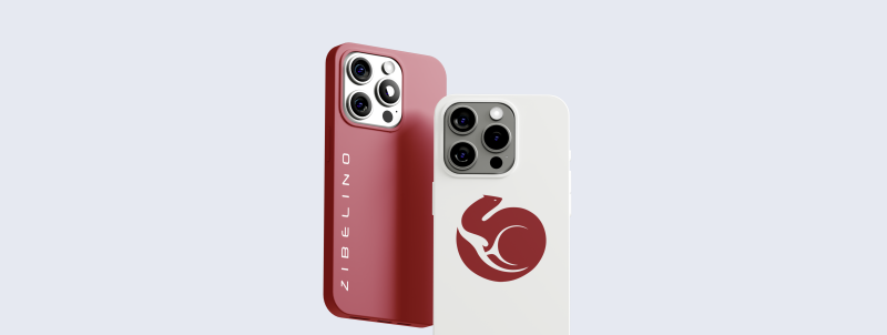 Превью кейса конструктора Zibelino